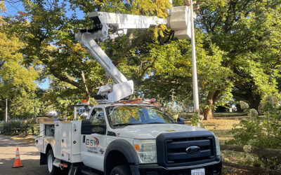 New LED Street Lighting at the Knights of Columbus – McLean, Virginia