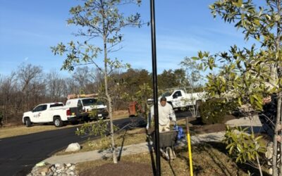 Solar Street Lights – Damascus, Maryland